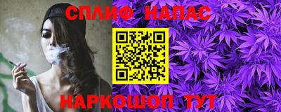тгк Будённовск