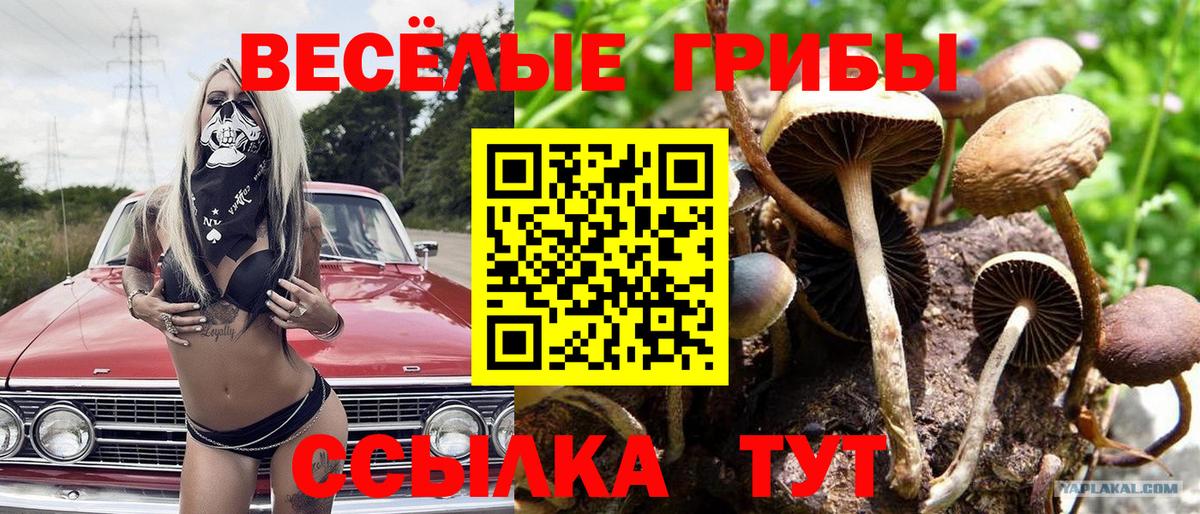 Псилоцибиновые грибы GOLDEN TEACHER  Вход с VPN  Псилоцибиновые грибы мухоморы  Смоленск 
