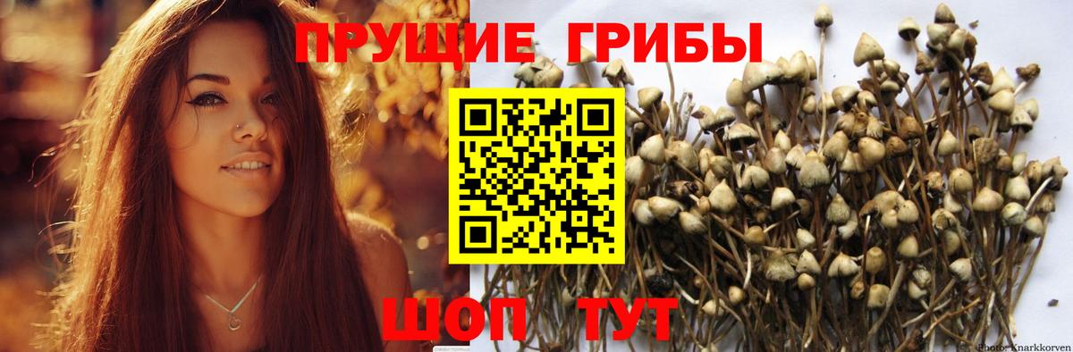 Псилоцибиновые грибы ЛСД Смоленск